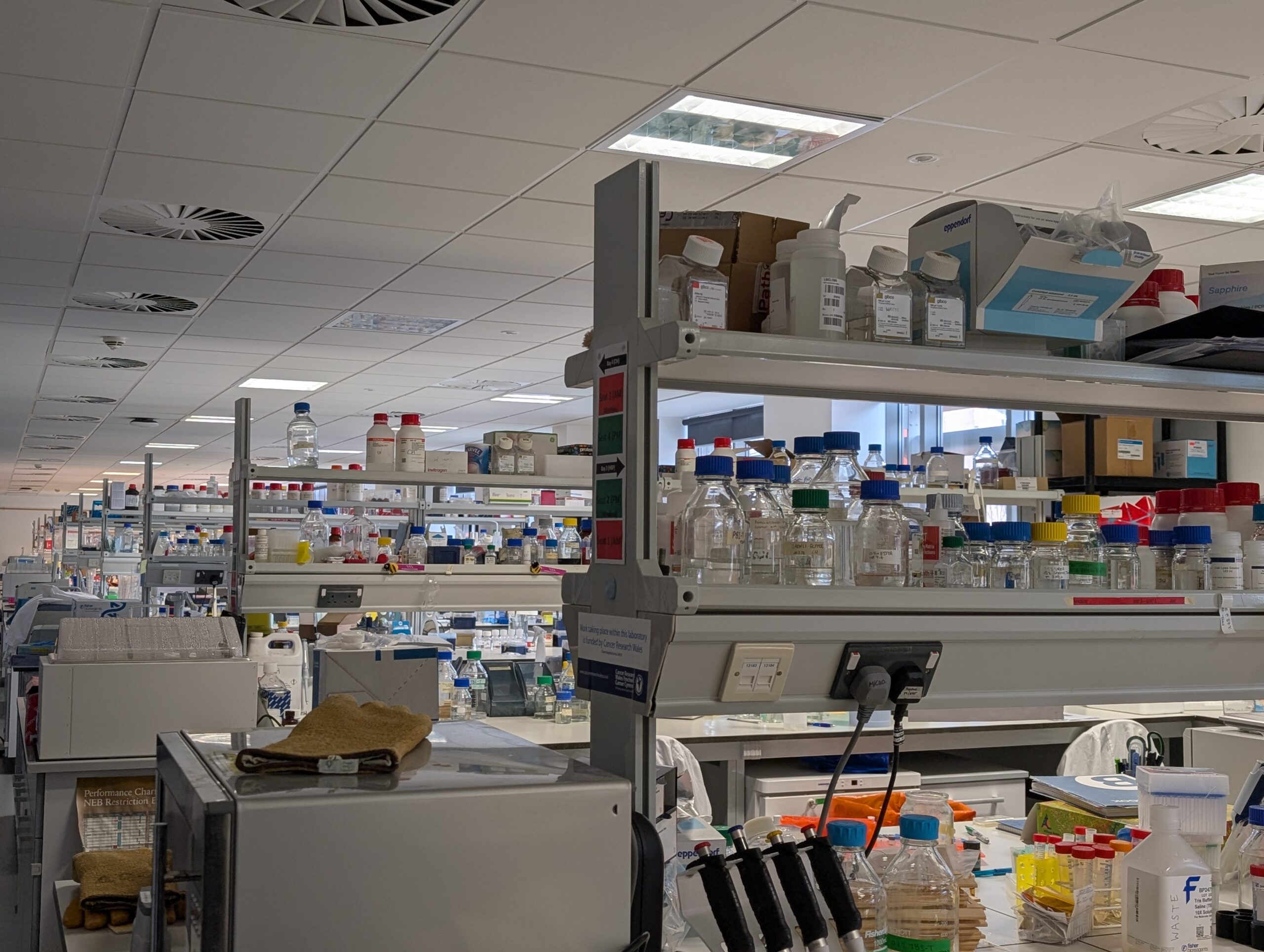 Cardiff Cancer Research Hub lab at Cardiff University with rows of shelves