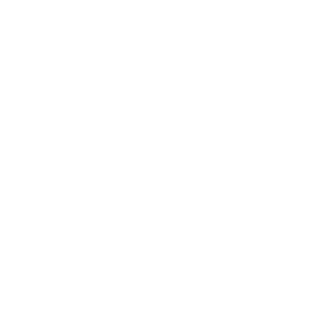 Welsh Gov Logo